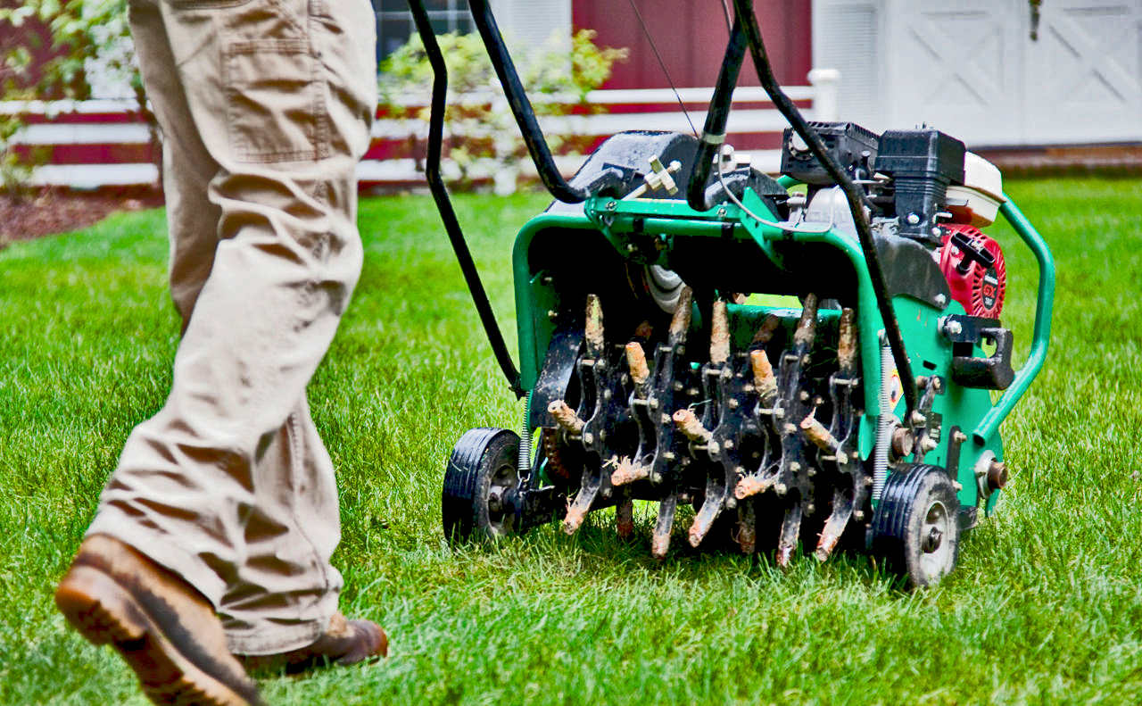 How often should I aerate my lawn in Garner NC