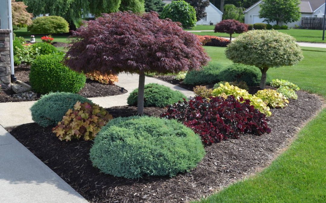 Why It’s Important To Mulch Your Plants