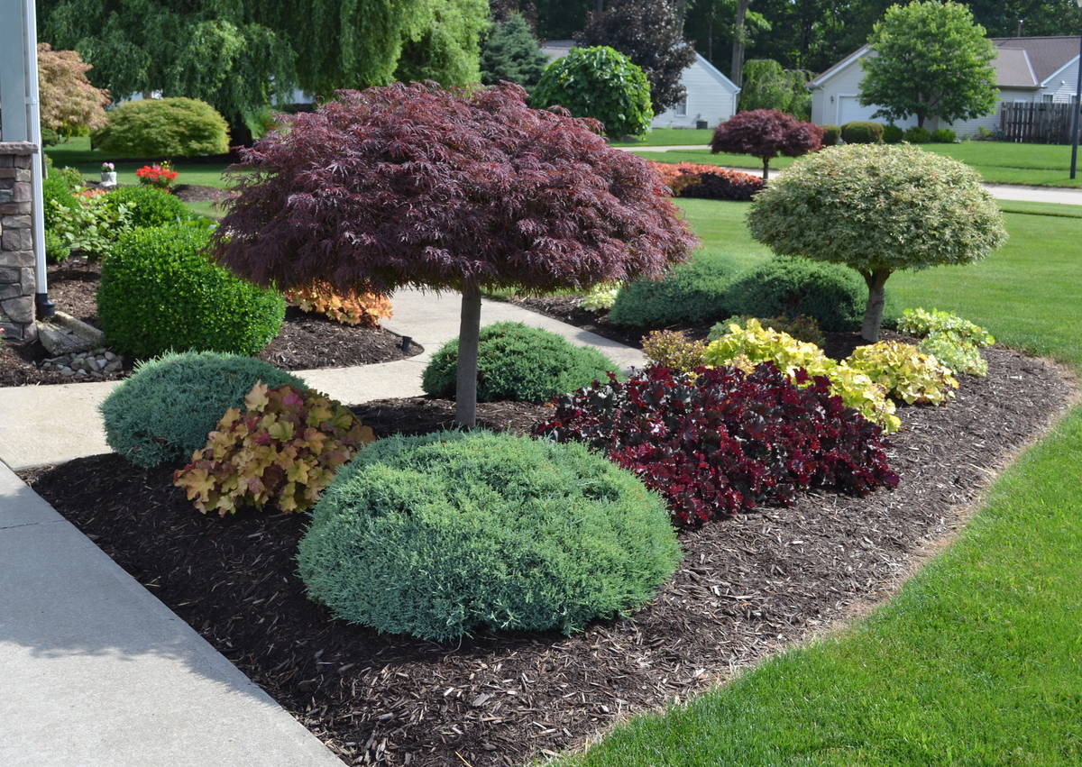 Mulch Yard, Landscape Supply, and Landscaping Service Clayton NC