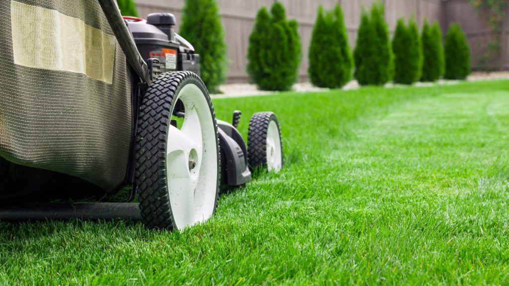 Delivering landscaping products and lawn maintenance toWillow Springs NC