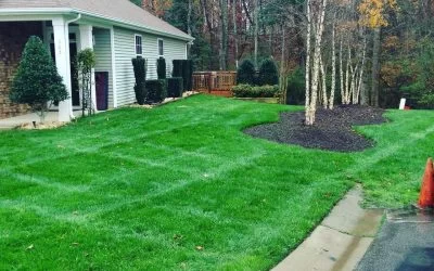 Don’t Stop Spraying Your Lawn This Winter!