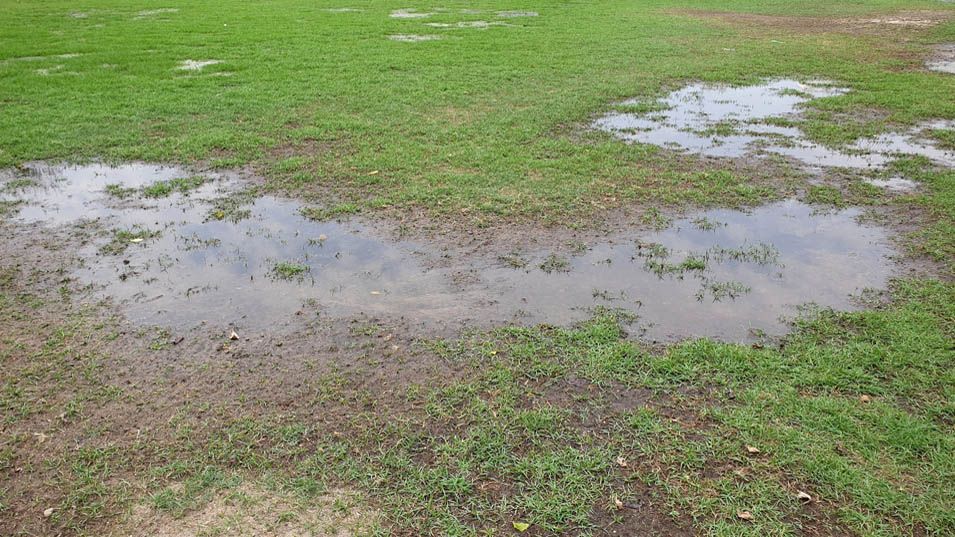 It's time to aerate when you have puddle in grass after a light rainfall