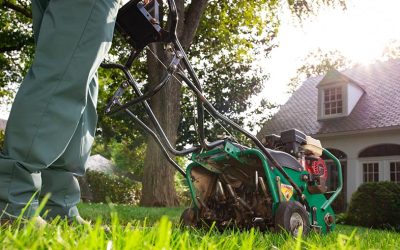 When Is The Best Time To Aerate Your Lawn in Garner, NC?