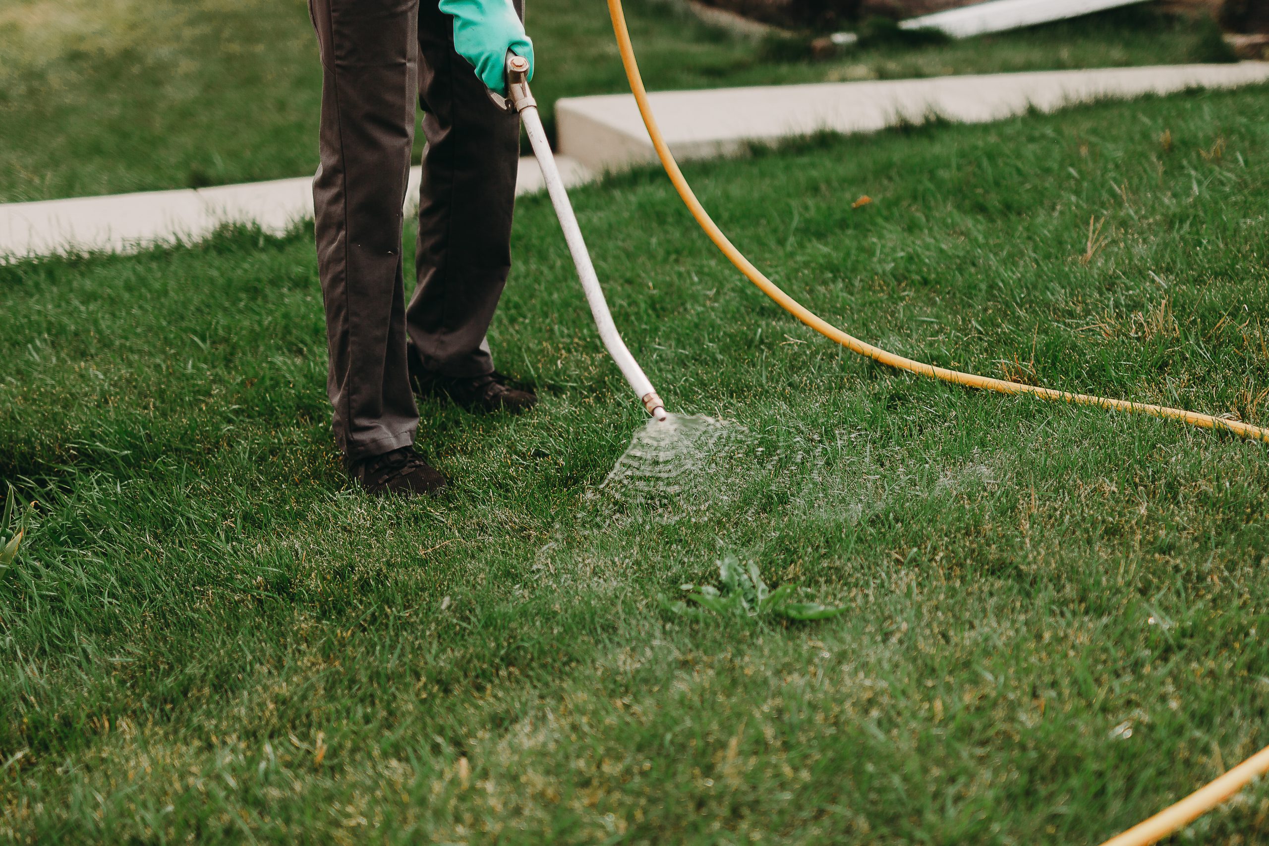 Triple R Landscaping offers effective spraying packages to keep your yard weed free year round.