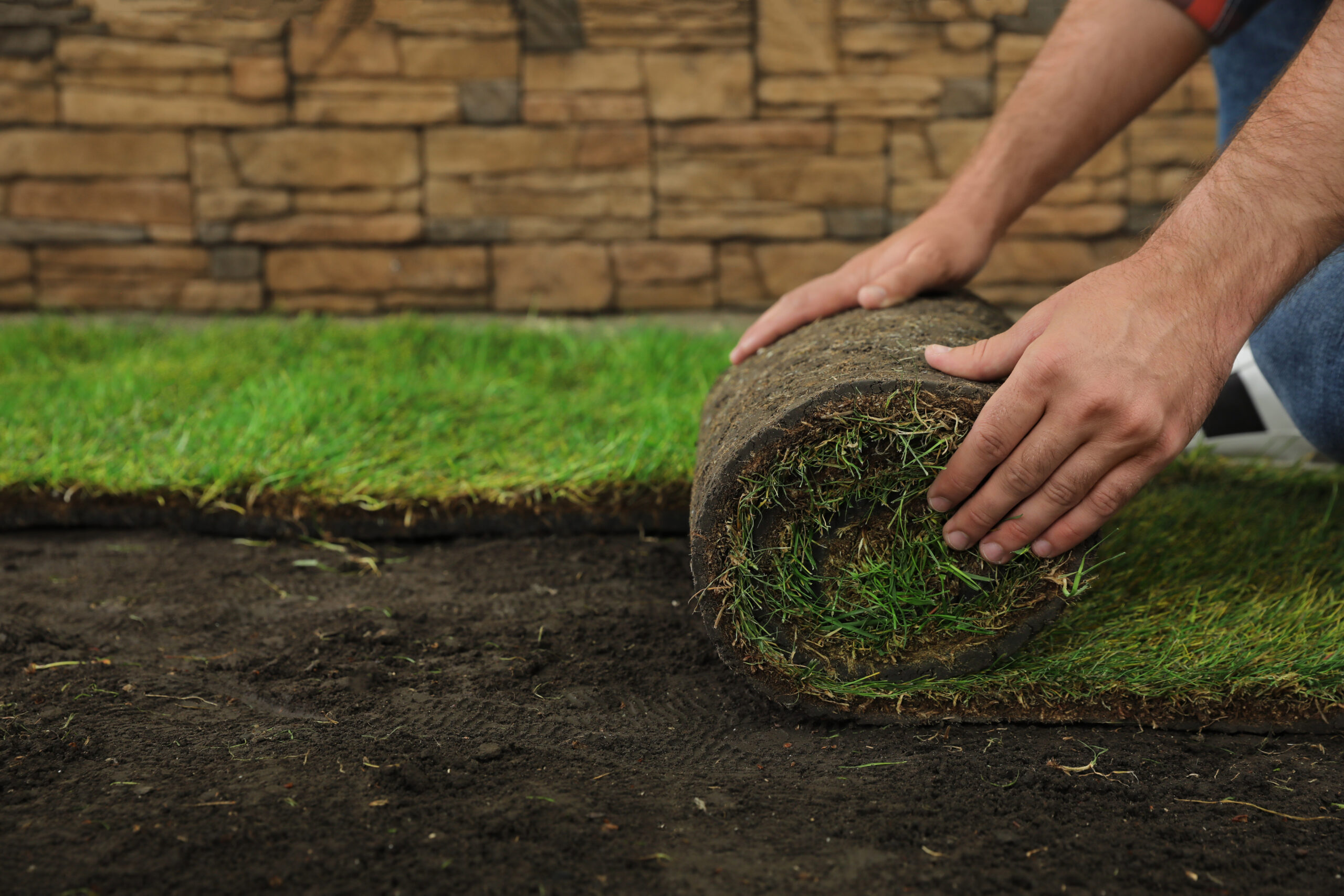 rolling out sod