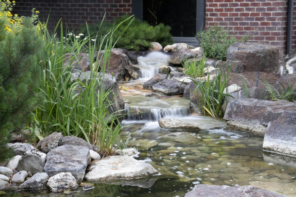 water feature backyard
