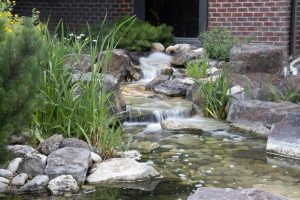 water feature backyard