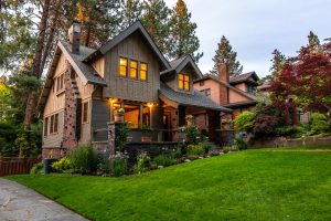 Beautiful weed free lawn