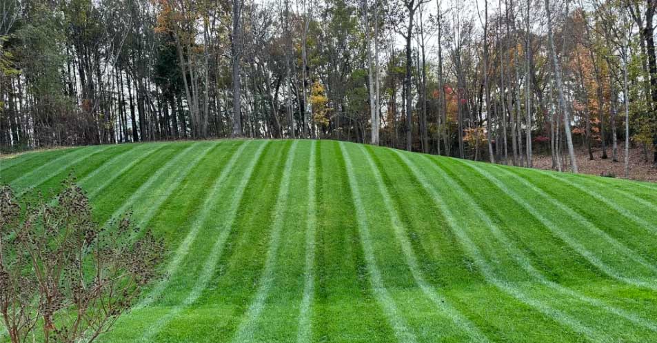 Mowed lawn with lines