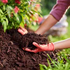 woman mulching a bed with designer mulch