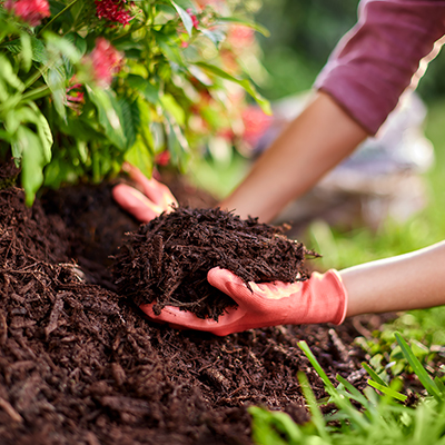 woman mulching a bed with designer mulch