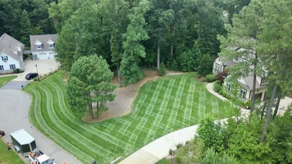 Yard mowed with nice lines